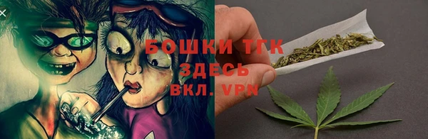ALPHA-PVP Гусев