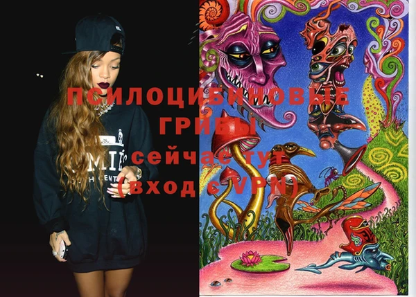 марки lsd Гусиноозёрск